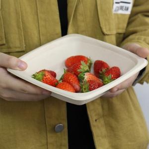 Buy cheap Eco Biodegradable Sugarcane Disposable Bowls 16oz Square Bowl With Lid from wholesalers