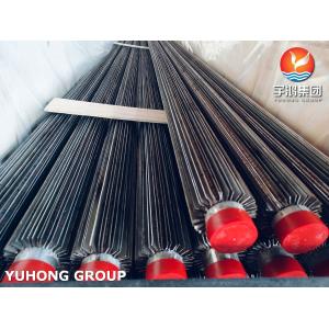 ASTM A213 TP316L Ferritic and Austenitic Alloy-Steel Longitudinal Finned Tubing