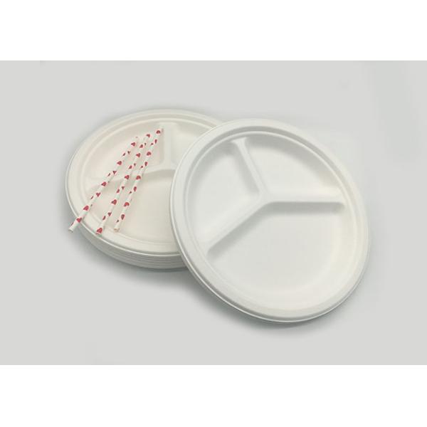 10" 3 Compartment Strong Dinnerware Bagasse Paper Plates