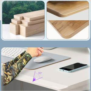 Adjustable Height Kid Computer Study Standing Table with 2 Stage Motor in