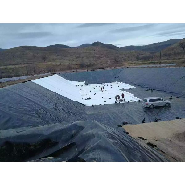 High-Density Polyethylene High Strength Chemical Corrosion Resistance Construction Durable Plastic HDPE Geomembrane