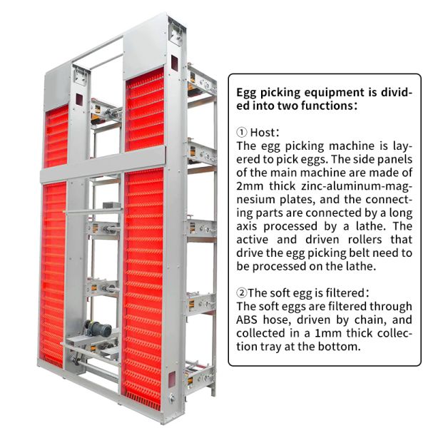 H Type Automatic System Chicken Cage layer Poultry Farming Equipment