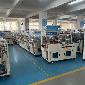 High Efficiency 30pcs/Min Heat Shrink Packing Machine Automatic