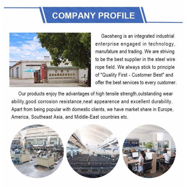 Company information and facilities