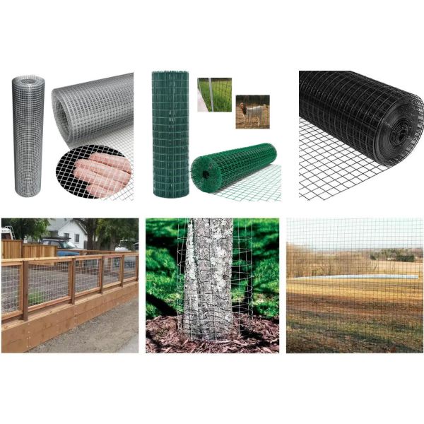 Plastic Coated Welded Wire Mesh Roll 2x2 Galvanized Welded Wire Mesh