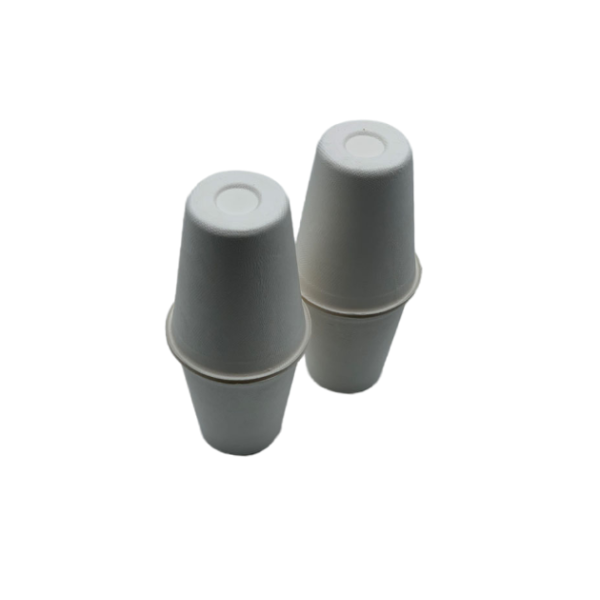 Eco Friendly 8oz 80×90mm Biodegradable Cups And Lids