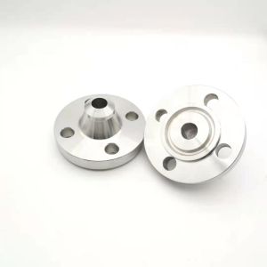 Forged Stainless Steel Weld Neck Flange Corrosion Resistant Customized