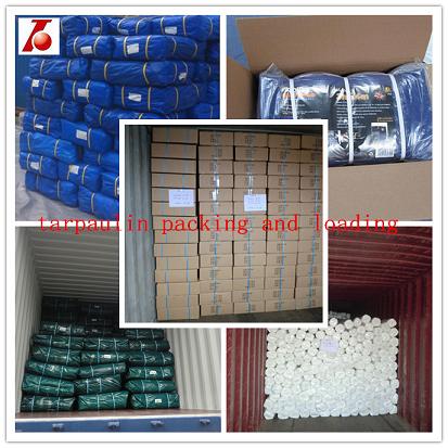 natural color polyethylene fabric roll without lamination, half-finished tarp