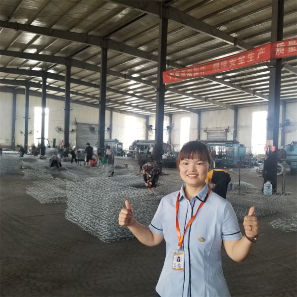 2x1x1m Gabion Box Woven Hexagonal Mesh Netting Erosion Control