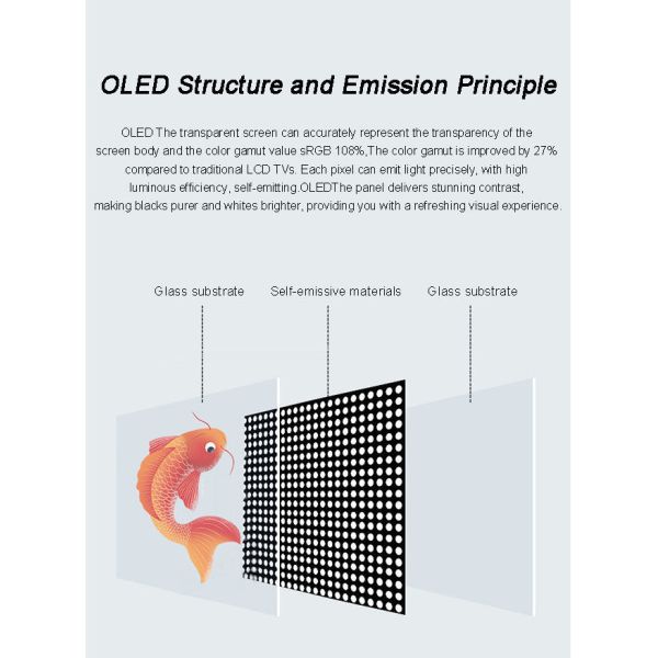 55 inch Floor Standing See Through Transparent OLED Lifting All-in-one TV Interactive Touchscreen Display