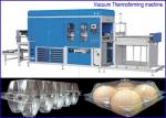 PET Plastic sheet Egg Containers Vacuum Thermoforming Machine , big forming area