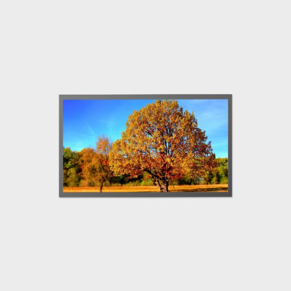 27 inch LCD Display Advertising Application High Brightness Solution LCMA