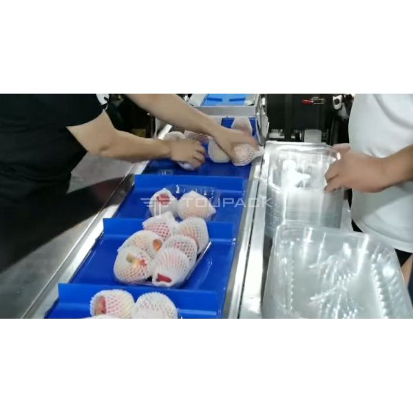 Pear Apple Weighing Fruit Combination Scale 12 Head Hand Loading Weighing Machine
