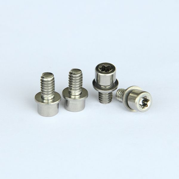 316 Stainless Steel DIN912 Torx Socket Head Machine screws 316 Stainless Steel DIN912 Torx Socket Head Machine screws