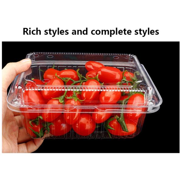 Customizable Disposable bowl with different material options suitable for various fruits and vegetables