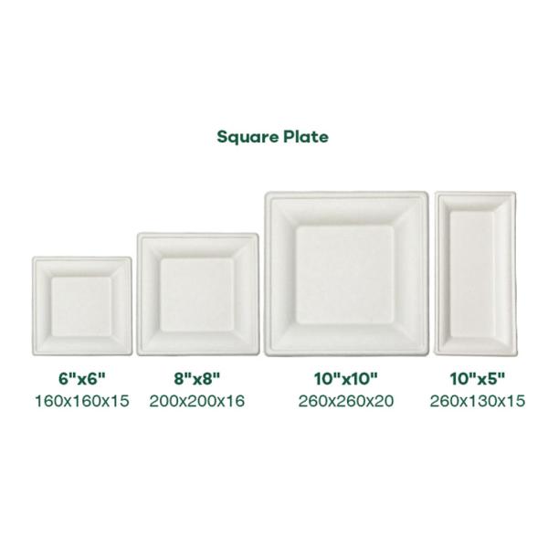 Renewable 8in 10in Biodegradable Bagasse Tableware Plate Pfas Free Take Out Containers