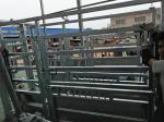 Durable cattle panel, cattle gates, oval rail yard equipment 1.2-2.5mm thickness