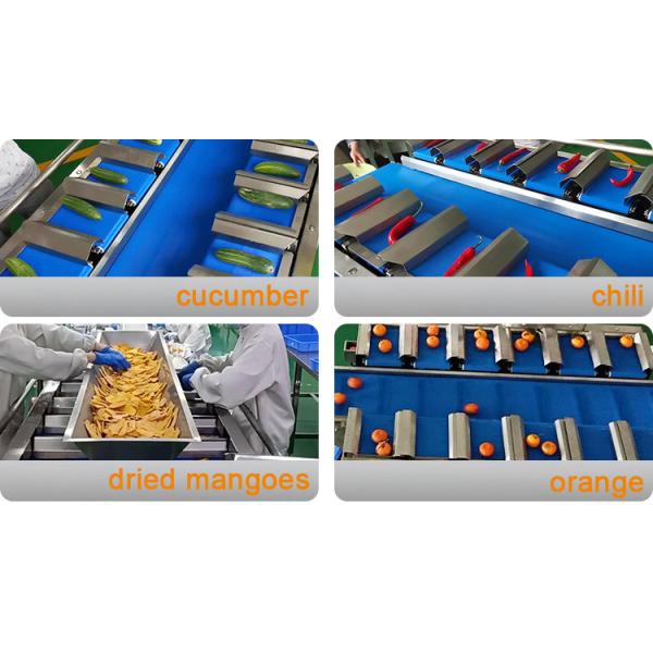 12 Belt 160 Combination Weigher For Fruit Vegetable Aquatic Products