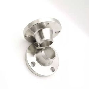 Forged Stainless Steel Weld Neck Flange Corrosion Resistant Customized