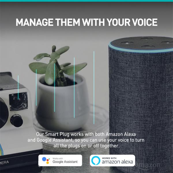 EU Smart Plug Wi-Fi Socket Mobile Phone App Control Powered by Tuya