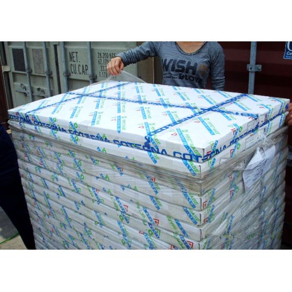 CB CF CFB Carbonless Copy Paper Blue Black Image Color Clear Image Copy Minimum 5 Ply