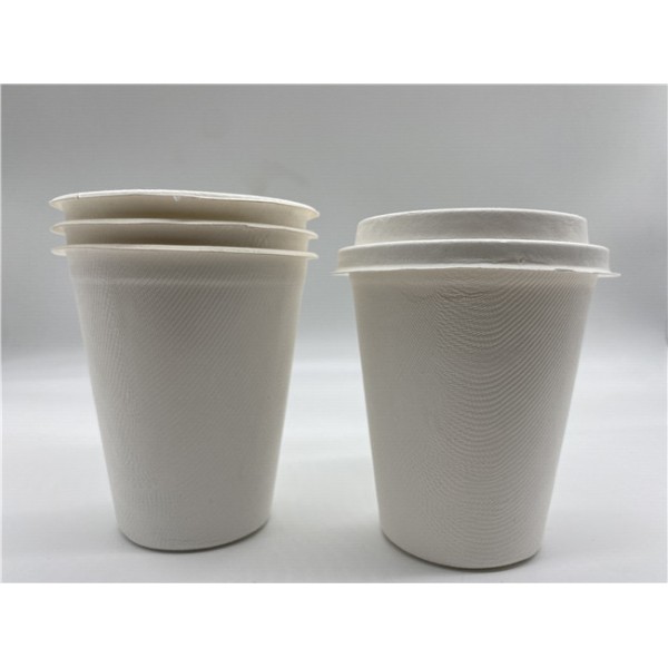 Eco Friendly 12oz 90x97mm Biodegradable Cups And Lids