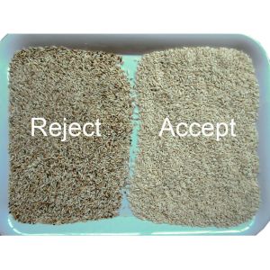 2 Channels Rice Sorting Machine