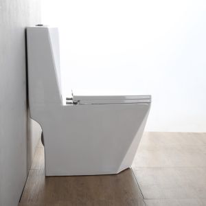 Ceramic One Piece Toilet with P Trap Dual Flush