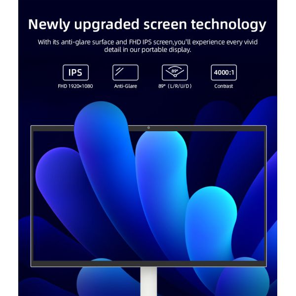 Portable TV used for entertainment applications