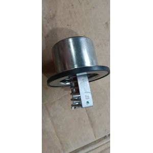 diesel engine parts cummins temperature controller thermostat assembly 4318947