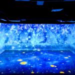 Multichannel Interactive Projection Immersive Projector For Cultural Tourism
