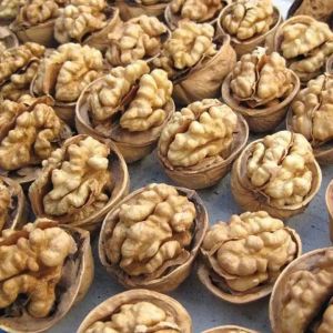 Walnut Chinan Manufacturer Xin2 walnut In shell Best Price Delicious Light Brown