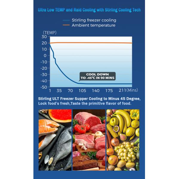 Under Table Portable Ultra Low Temp -45C Stirling Cooler with HE Refrigerant and Style