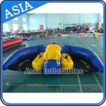 0.9mm PVC Tarpaulin Inflatable Flying Manta Ray / Fly Fish Inflatable Water