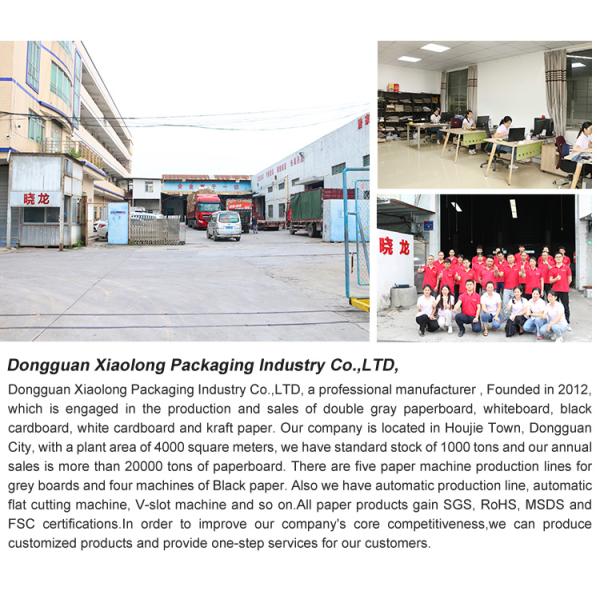 Coated C1S / C2S Best Quality Fine High Glossy/Matt Art Paper Directly from Factory