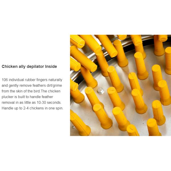 Automatic Chicken Depilator Bird Plucking Machine