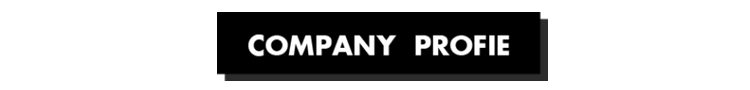 Remote Control 300ml Aromatherapy Essential Oil Crack Shape Volcano Diffuser Humidifier for Home Bedroom Black