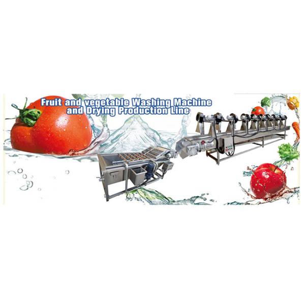 Customized Vegetable Fruit Washing Machine Salad Lemon Orange Parsley Washer