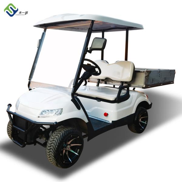 Custom Power Steering EV Golf Cart Electric Powered Vehicle 20mph