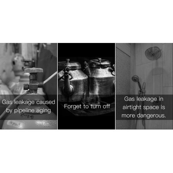 Tuya APP Smart WiFi Gas Detector Kitchen Cooking Gas Leak Alarm and Carbon Monoxide Detector