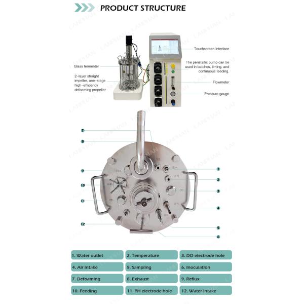 0.25L-15L Glass Bioreactor plant Bioreactor Laboratory Bioreactor Equipment For Cell Culture
