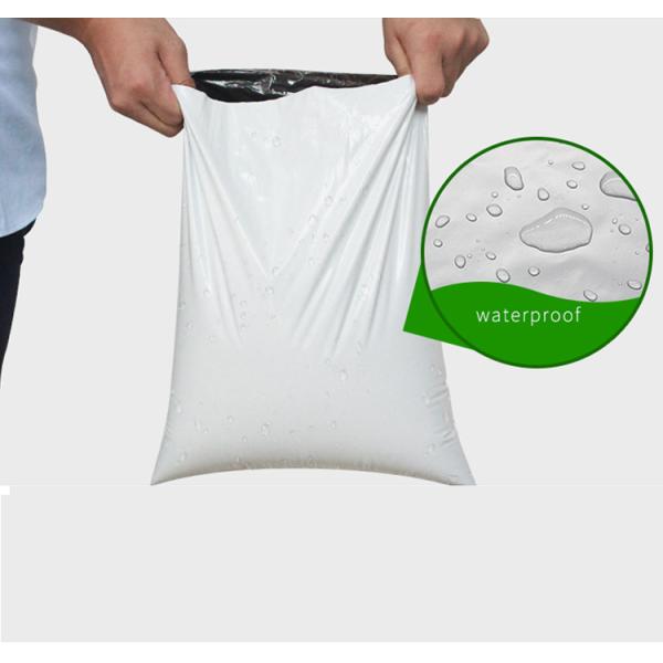 Custom Plastic Courier Bag with Pouch Fedex Express Bag with Transparent Pocket