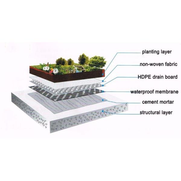 Hotel Drainage Board with Geotextile HDPE Dimple Composite CE/ISO/ISO14001 Certified