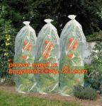 PP Non Woven Fabric Fruit Tomato Banana Bunch Cover Garden Plant Protection