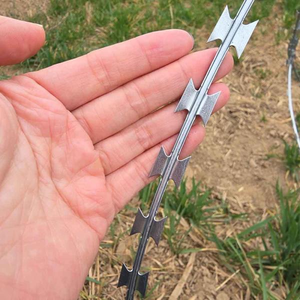 Galvanized Razor Barbed Wire Roll Direct Supply for High Fence Security Applications
