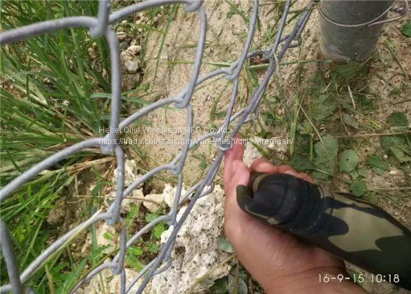 ISO: 9001 China supplier 50x50mm, 25x25mm, 60x60mm Home & garden pvc chain link wire fence