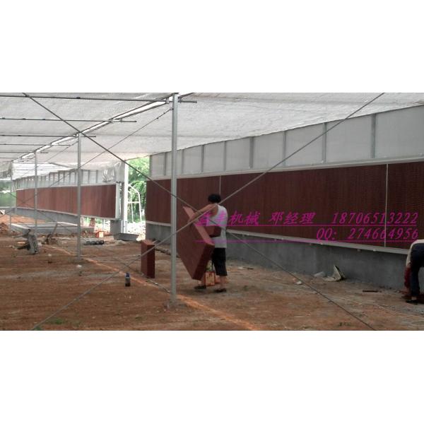 Source Factory Poultry Cooling Cell Pad Poultry Farm Cooling Pad for Cooling System