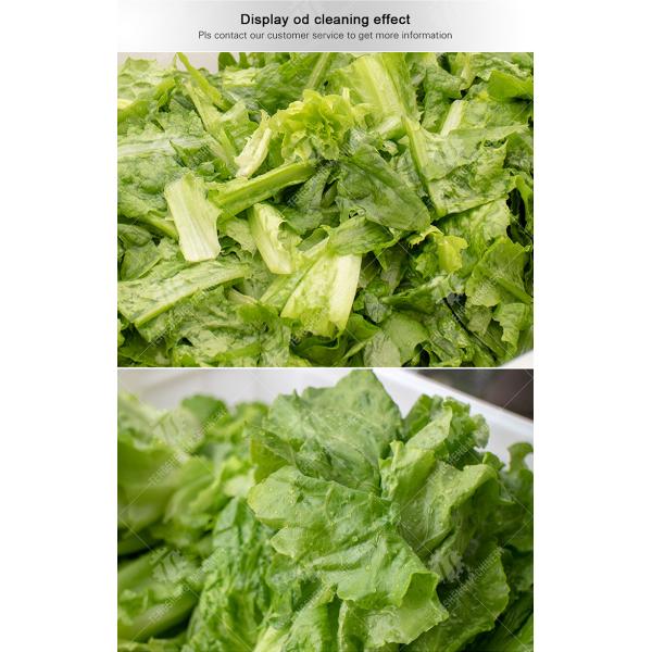Bubble Vegetable Washing Machine Fruit Orange Vegetable Leaves Vegetables Herbs production Destoning Wash Washer Washing Cleaning