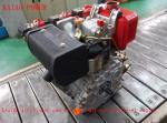 0.247L Displacement Air Cooled Diesel Engine With Recoil Start / Electric Satrt