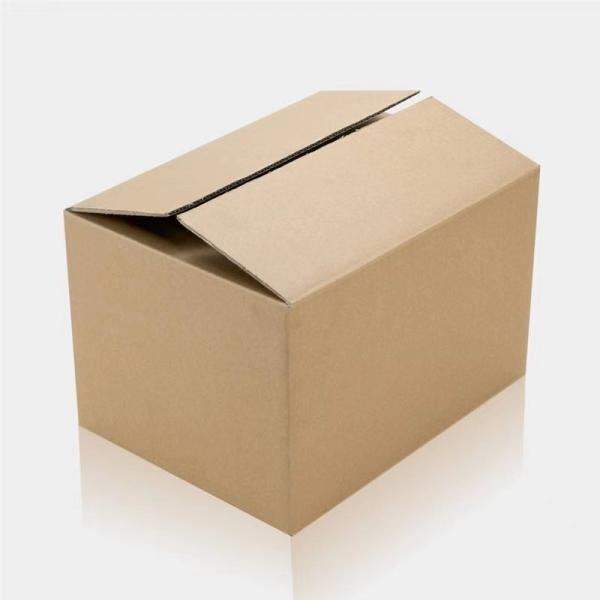 Arden CNC Wood Router Round Bottom Bit Tungsten Carbide End Mill for Wood and Acrylic Engraving Round Bottom Woodworking Bit